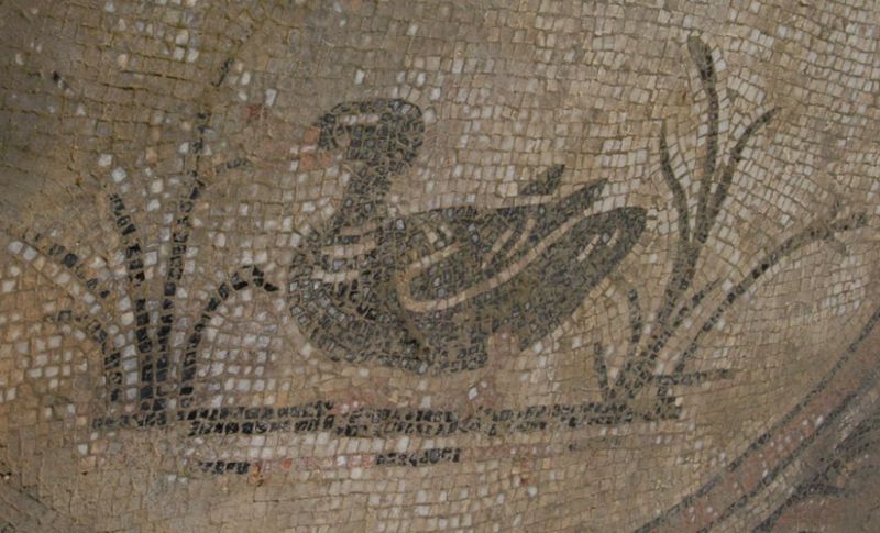 Spello mosaico